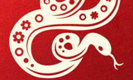 董易林生肖蛇2025年1月运势