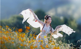 占星妖妖十二星座每日运势（2025-2-1）