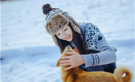 2024甲辰年：农历腊月丁丑月，十二生肖运势揭秘