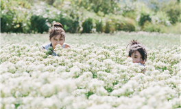 姓名的奥秘：理解其价值与象征意义