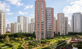 风水智慧在哪些时刻至关重要？