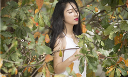 YAO叔星座2025年1月16日运势：莫冲动，冲动是魔鬼