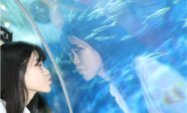 占星妖妖十二星座每日运势（2025-2-9）