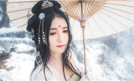 猫咪占星：双鱼座2025年上半年运势解析