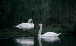 你在挑选伴侣时的眼光如何？