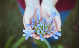 星座女神每日星座运势2025年3月1日