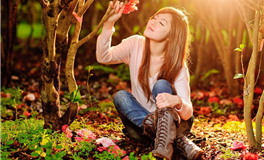 郑博士每日生肖运势2025年2月24日