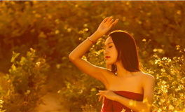 李云天每日生肖运势2025年4月1日