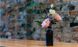 滴天居士生肖猴2025年4月运势