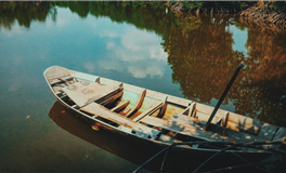 静电鱼处女座一周运势（3.31-4.6）