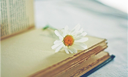 易鑫一周黄道吉凶日（3.31-4.6）