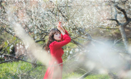 婚姻中的责任担当：12星座谁更胜一筹？