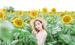 猫咪占星：射手座2025年4月运势解析