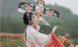 星座秘密：绝对不要招惹的四大星座