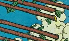 爱莎公主金牛座一周塔罗运势（4.14-4.20）