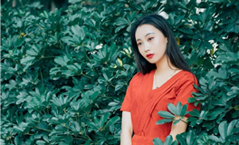 不擅长言语表达，但行动力很强的星座