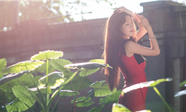 秦阳明每日生肖运势2025年4月11日