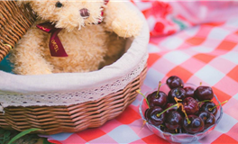 结婚只是为了传宗接代的星座都有谁