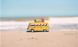 静电鱼狮子座一周运势（5.5-5.11）