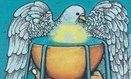 爱莎公主双鱼座一周塔罗运势（5.12-5.18）