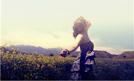 蓝蓝占星金牛座2025年6月运势