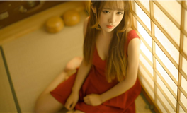 郑博士每日生肖运势2025年5月24日