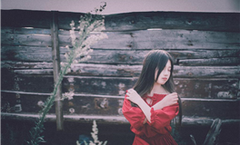 李云天每日生肖运势2025年5月23日