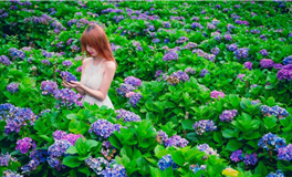 擅长主动示弱，其实是让着你的星座！