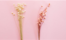 这几个星座女，真的很斩年下男！