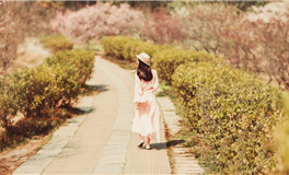 滴天居士生肖龙2025年7月运势