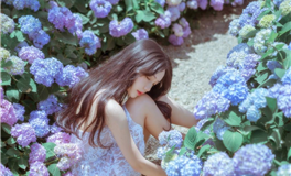 熊神进十二生肖2025年7月31日吉时吉事提点