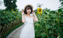 水玲师傅：今日五行能量/五行运势2025年7月19日