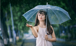 揭开2025下半年财运密码：谁是偏财运的赢家？