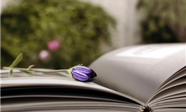 7月事业运势最顺的星座