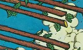 爱莎公主水瓶座2025年8月塔罗运势