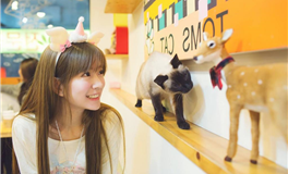 事业大爆发的星座！