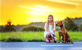 水玲师傅：今日五行能量/五行运势2025年8月16日