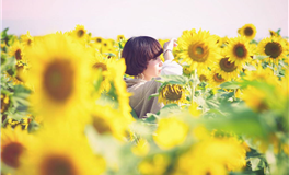 谈利益不谈感情的星座