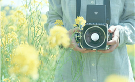 郑博士：每周生肖运势（8.18-8.24）