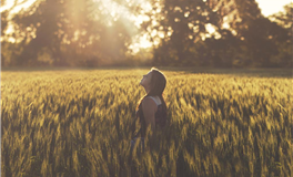 狂月今日星座运势2025年9月1日