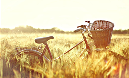 高敏感不是缺点，而是你星座赋予的超能力