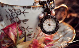 冥王星水瓶座：预测2025至2035年间的宇宙越界现象