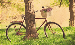 闹闹女巫店摩羯座2025年8月运势