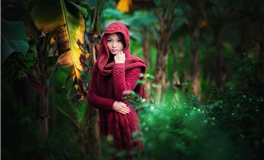 郑博士：每周生肖运势（9.1-9.7）