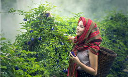 星座女神金牛座2025年10月运势