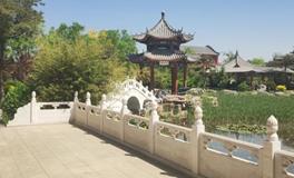 年复一年，为何辛勤工作却收入微薄？