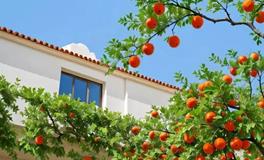 新婚夫妻如何布置新房风水：注意事项与技巧