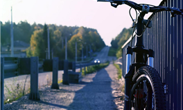 探索十二星座的思维方式：一个全面的揭秘