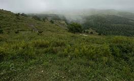 祖宗阴宅选址：不容忽视的关键问题