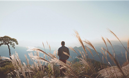 罗伯：相对永恒的星球意识